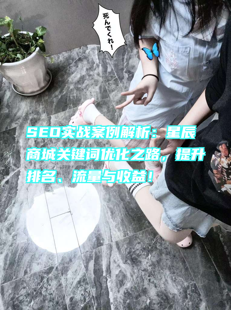 SEO实战案例解析：星辰商城关键词优化之路，提升排名、流量与收益！