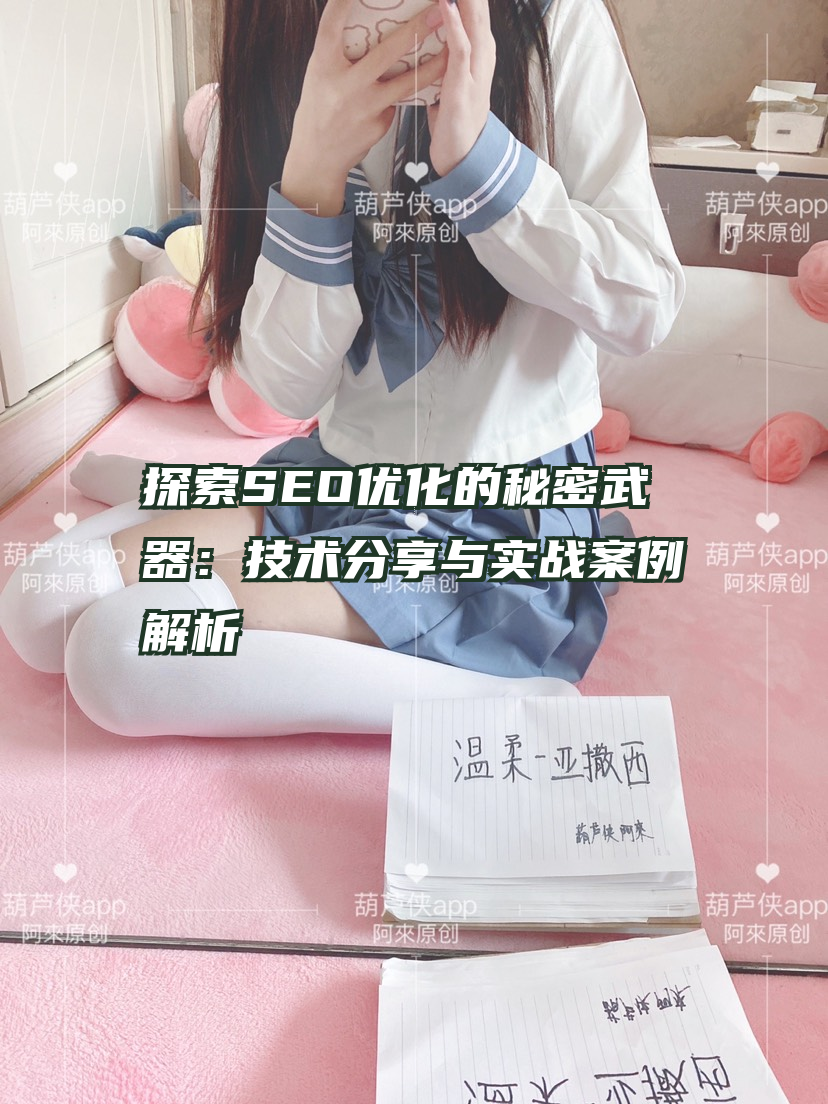探索SEO优化的秘密武器：技术分享与实战案例解析
